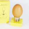 Ruben de Haas Ampoule-oeuf