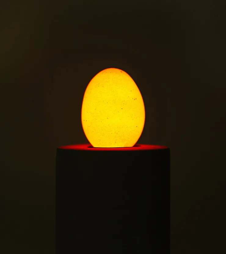 Ruben de Haas Ampoule-oeuf