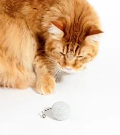 BULLBOAT Balle interactive pour chats