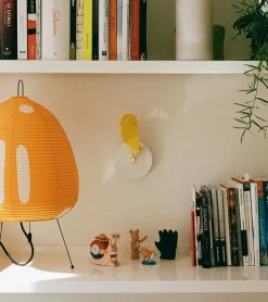 Birdie ® — Capteur de CO2