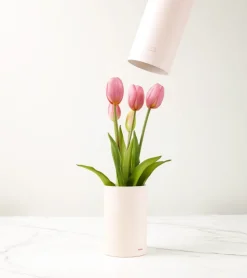 Nodito Bouquet de tulipes réalistes