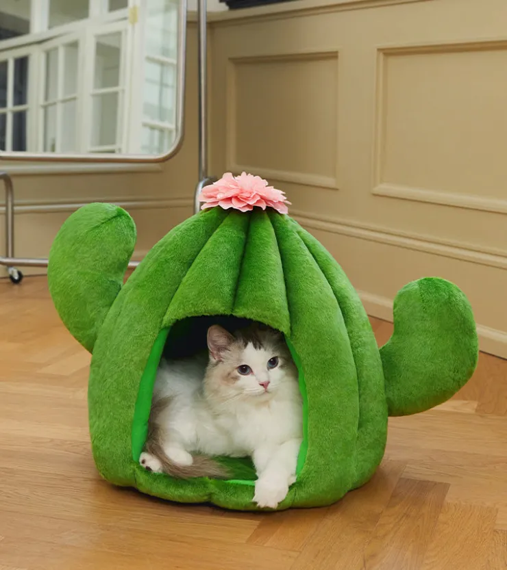 Vetreska Cabane cactus pour animaux