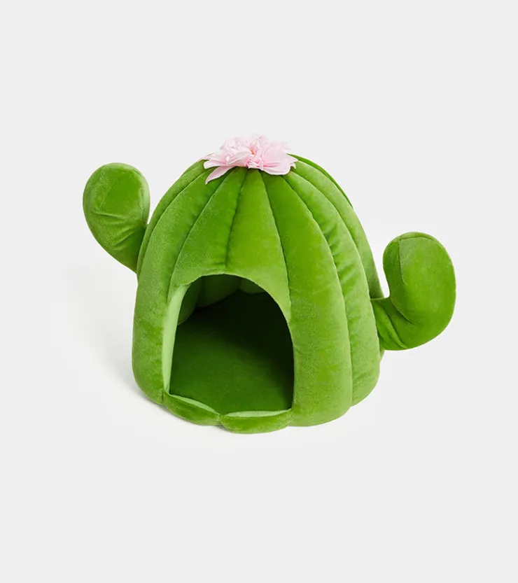 Vetreska Cabane cactus pour animaux