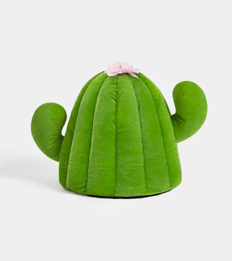 Vetreska Cabane cactus pour animaux