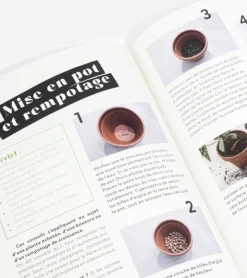 Hachette Pratique Comment ne pas faire crever ses plantes