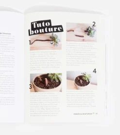 Hachette Pratique Comment ne pas faire crever ses plantes