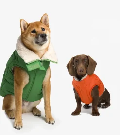French bandit Doudoune en sherpa pour chiens
