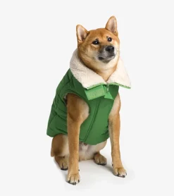French bandit Doudoune en sherpa pour chiens