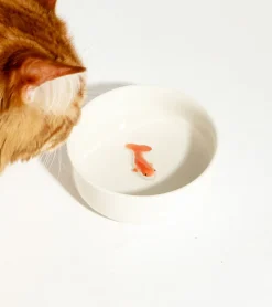 suck uk Gamelle leurre poisson pour chats
