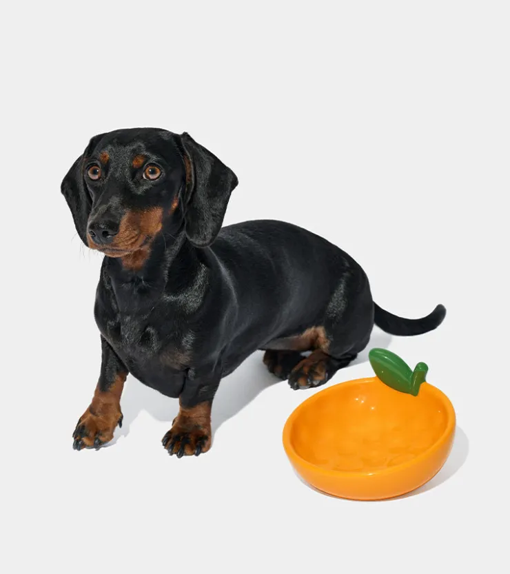 Vetreska Gamelle mandarine en céramique