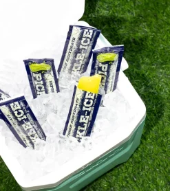van holten's Glace à l'eau - Jus de cornichon
