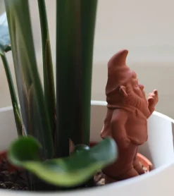 FISURA Gnome Terracotta irrigateur de plantes