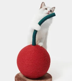 Vetreska Griffoir cerise pour chats