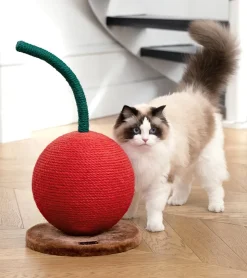 Vetreska Griffoir cerise pour chats