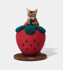 Vetreska Griffoir fraise pour chats