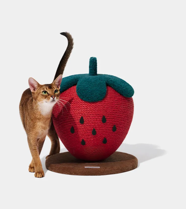 Vetreska Griffoir fraise pour chats