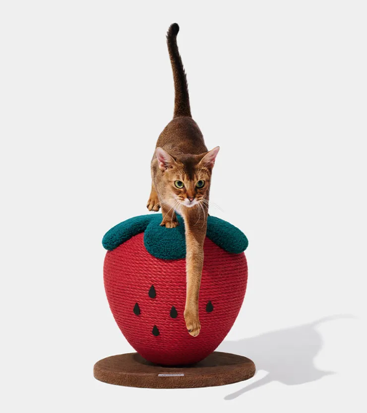Vetreska Griffoir fraise pour chats