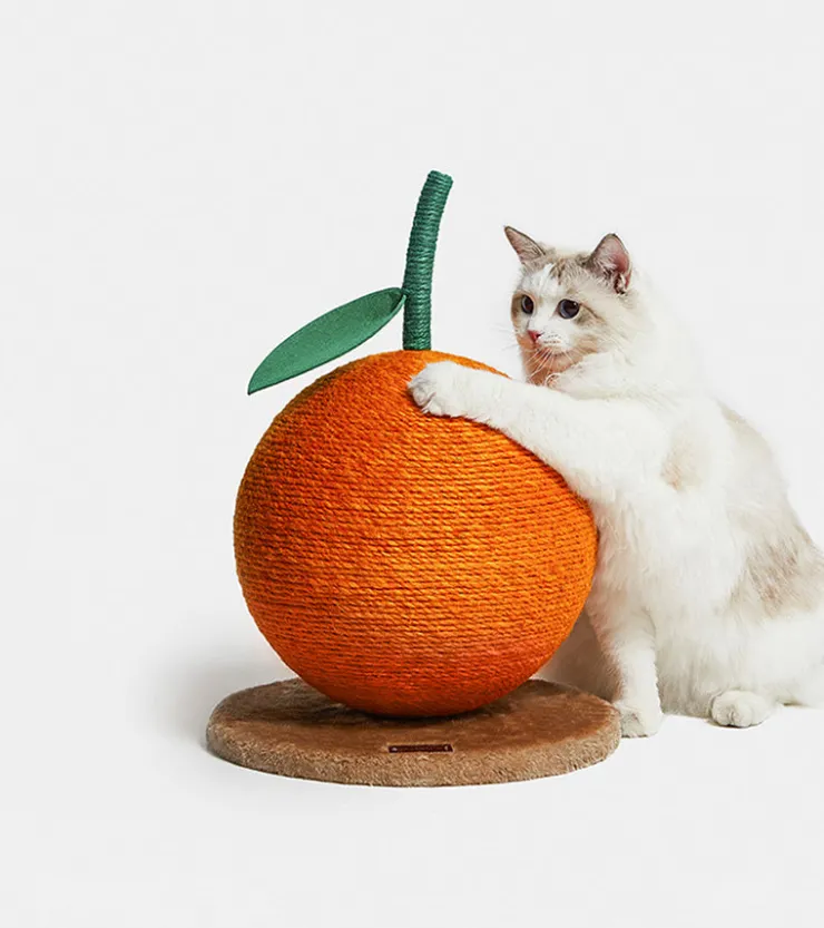 Vetreska Griffoir mandarine pour chats