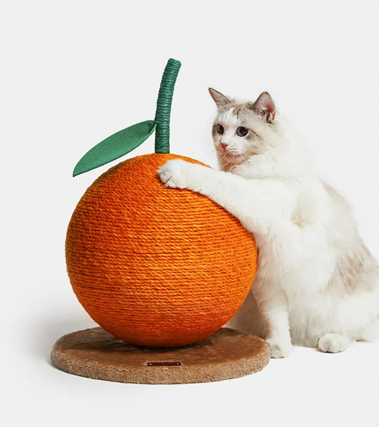Vetreska Griffoir mandarine pour chats