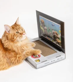 suck uk Griffoir ordinateur pour chats