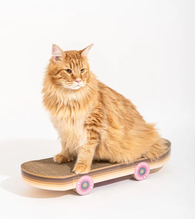 suck uk Griffoir skateboard pour chats