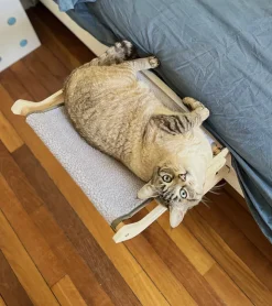 Innova goods Hamac en bois pour chats