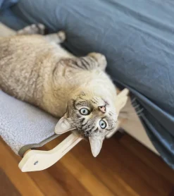 Innova goods Hamac en bois pour chats