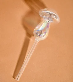 L'expressionist Irrigateur champignon en verre