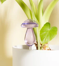 L'expressionist Irrigateur champignon en verre