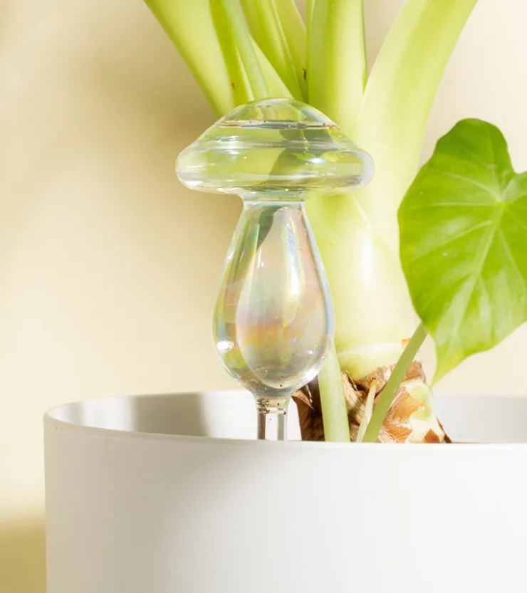 L'expressionist Irrigateur champignon en verre