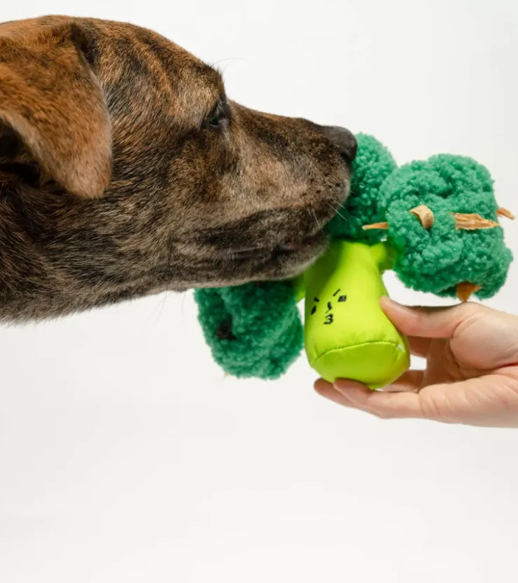 The furryfolks Jouet de flair pour chiens - Brocoli