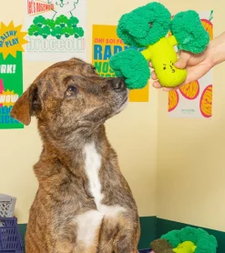 The furryfolks Jouet de flair pour chiens - Brocoli