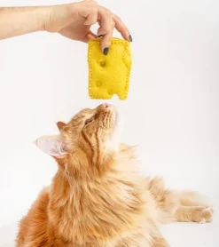 Ware of the dog Jouet gourmand pour chats