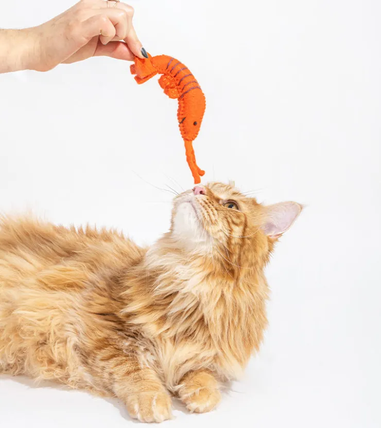 Ware of the dog Jouet gourmand pour chats