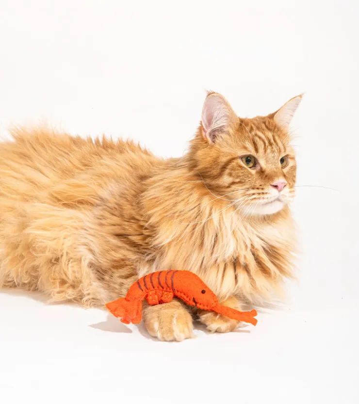 Ware of the dog Jouet gourmand pour chats