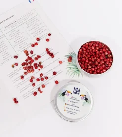Natural & Noble Kit pour infuser votre gin
