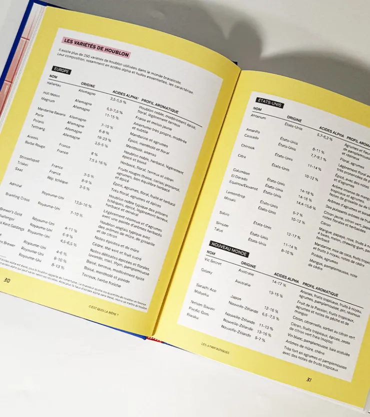 Hachette Marabout Le guide de la craft beer