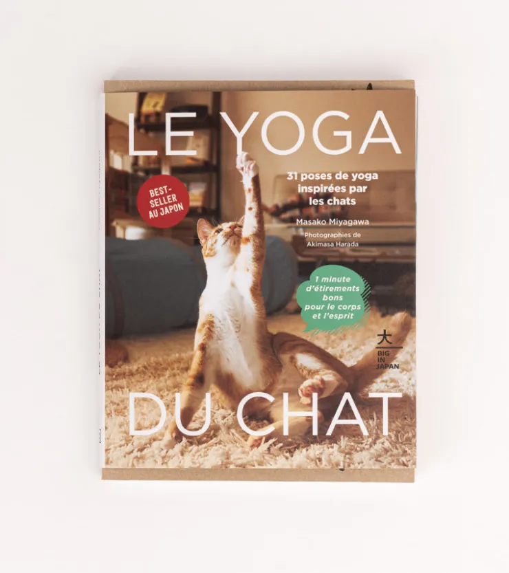 Hachette Pratique Le Yoga du Chat