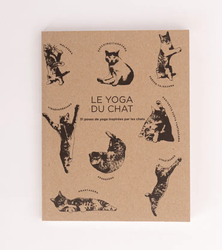 Hachette Pratique Le Yoga du Chat