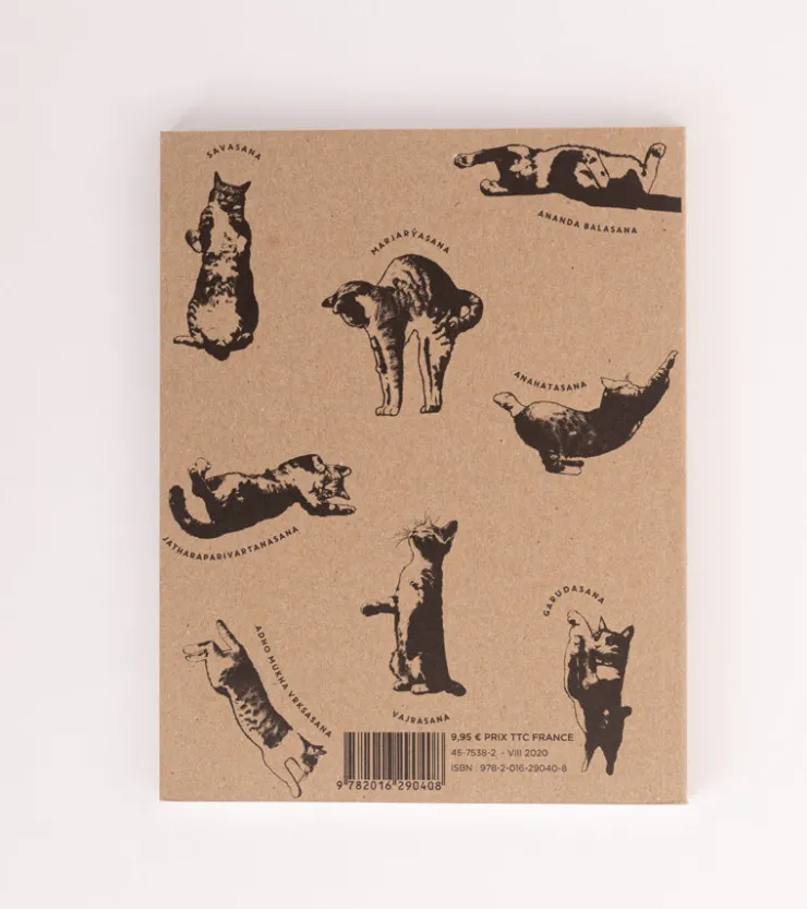 Hachette Pratique Le Yoga du Chat