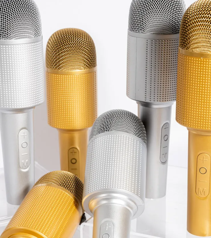 L'expressionist Micro enceinte Karaoké