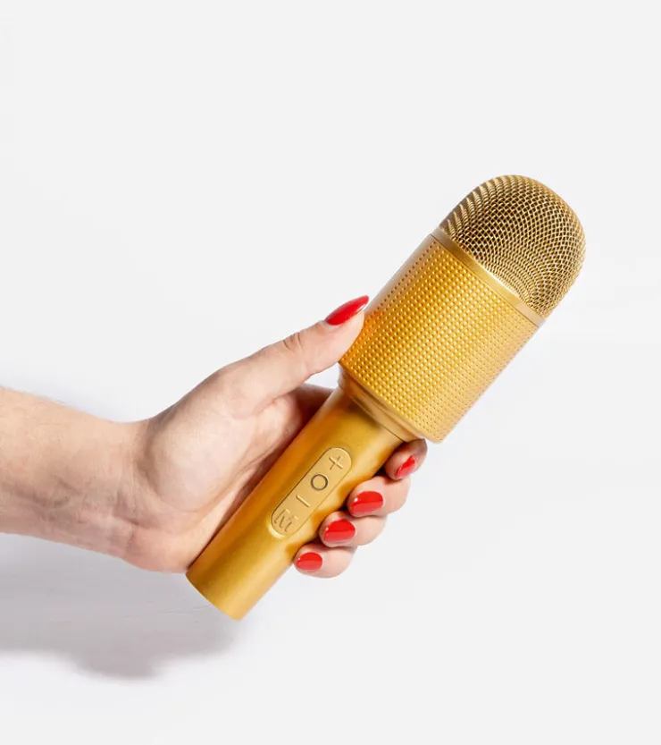 L'expressionist Micro enceinte Karaoké