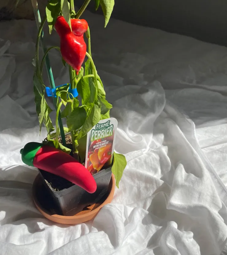 Emojibator Émojibateur piment