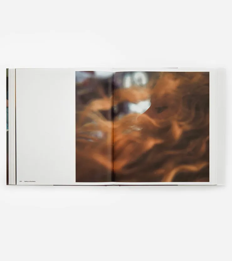 Phaidon Nick Waplington