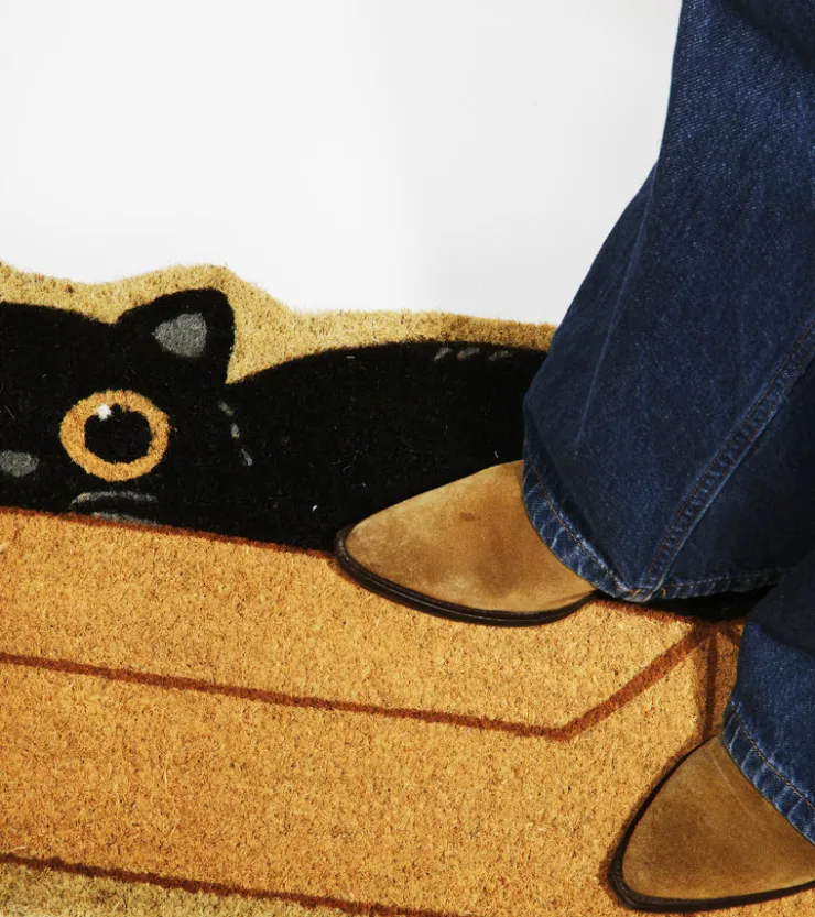 FISURA Paillasson Chat caché