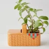 Ban.do Panier Pique-nique Jardinière