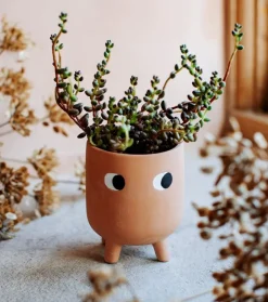SASS AND BELL Petit cache-pot à fleur en terre cuite