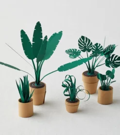 Pikkii Plantes en papier DIY