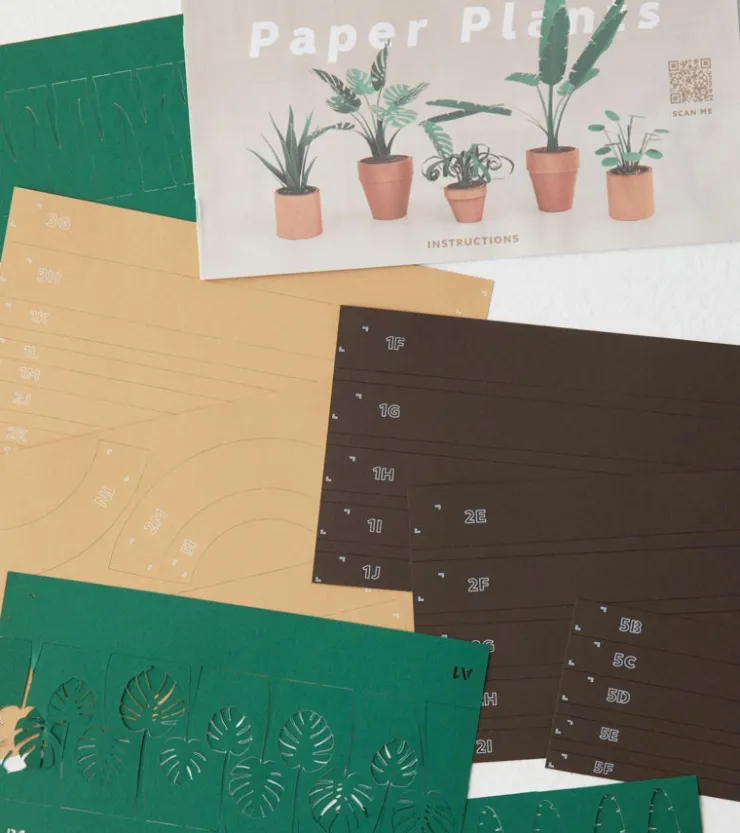 Pikkii Plantes en papier DIY