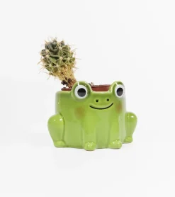 SASS AND BELL Pot à plante grenouille